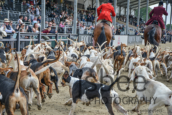 DSC_7287-120