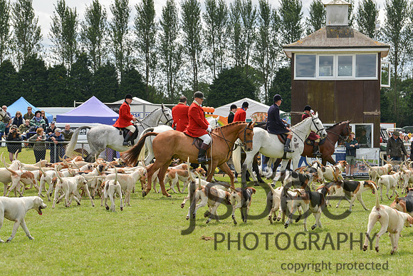 DSC_9985-196