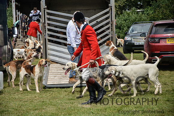 DSC_7354-160