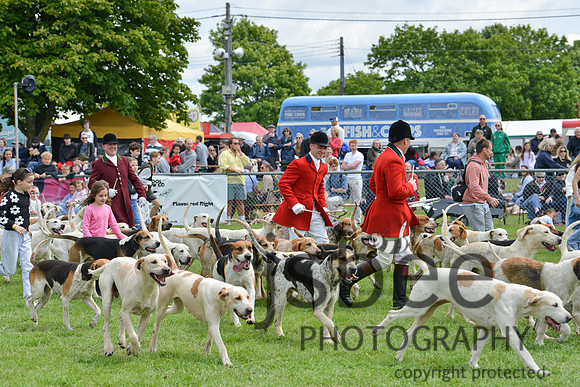 DSC_9873-122