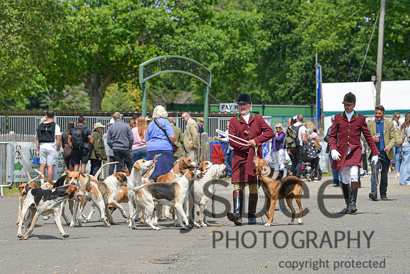 DSC_0071-247