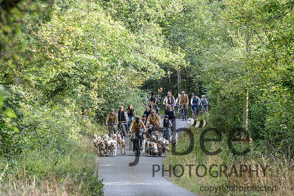 DSC_5274-32