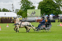 DSC_8981-13