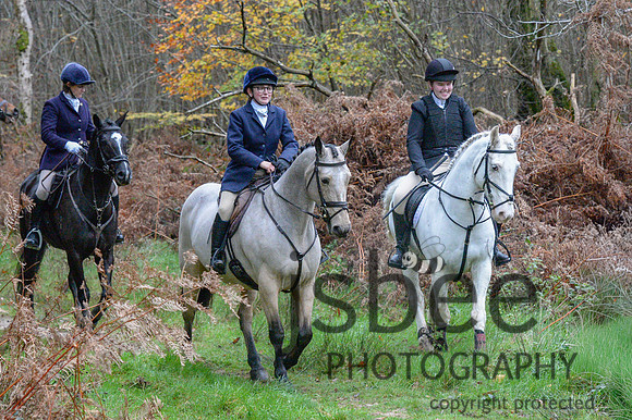 DSC_7463-85