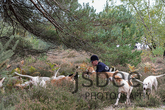 DSC_6571-29
