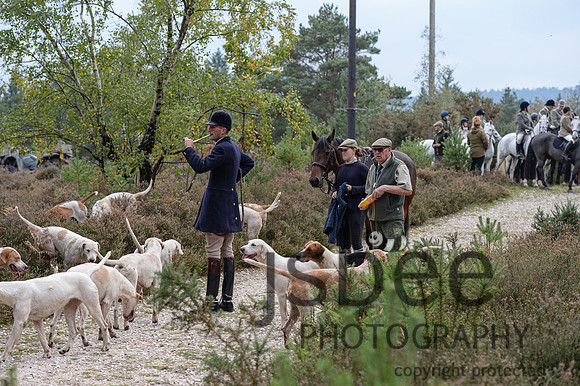 DSC_6575-33