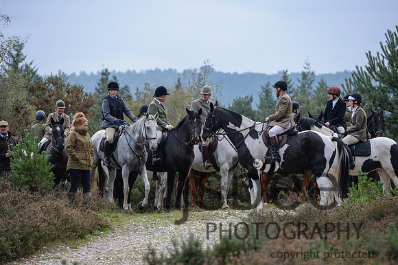 DSC_6573-31