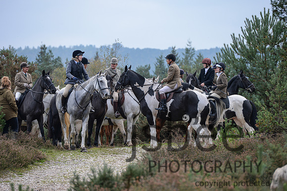 DSC_6574-32