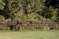 AH Chiilingshurst Copse/Stag Park