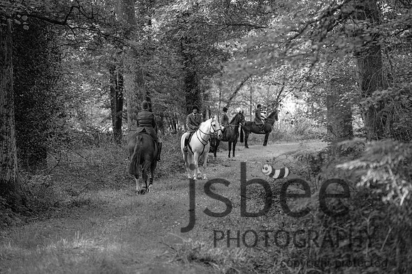 DSC_6453-13