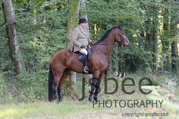 DSC_6458-16