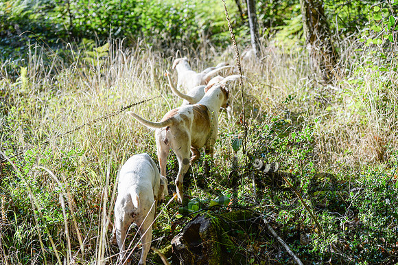 DSC_6457-15
