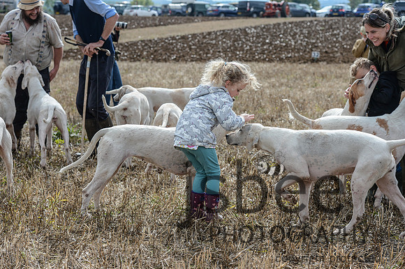 DSC_6485-4