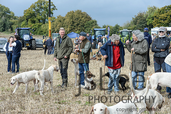 DSC_6495-13
