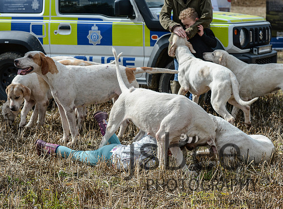 DSC_6492-11