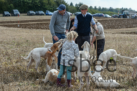 DSC_6496-14
