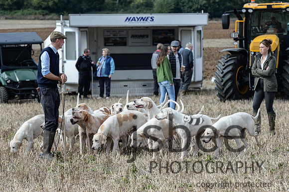 DSC_6499-17