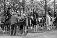DSC_6896-10