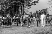 DSC_6798-2