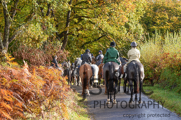 DSC_6809-12