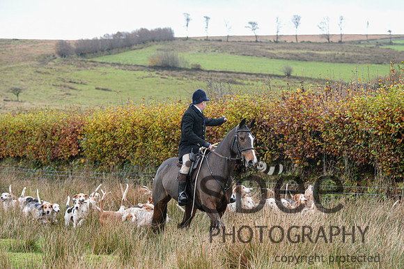 DSC_6981-5