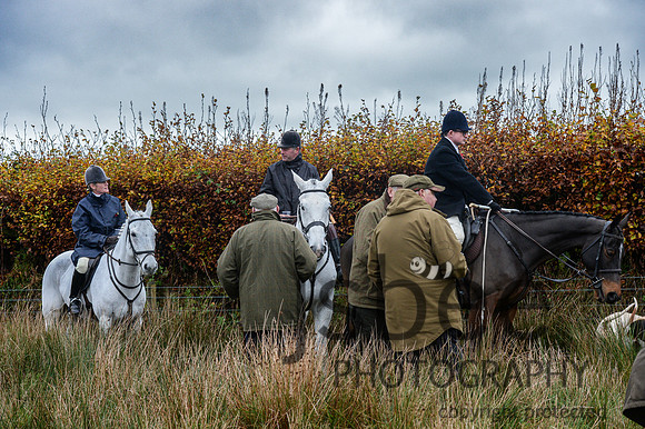 DSC_7008-21
