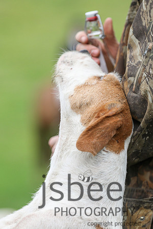 JOB_8653