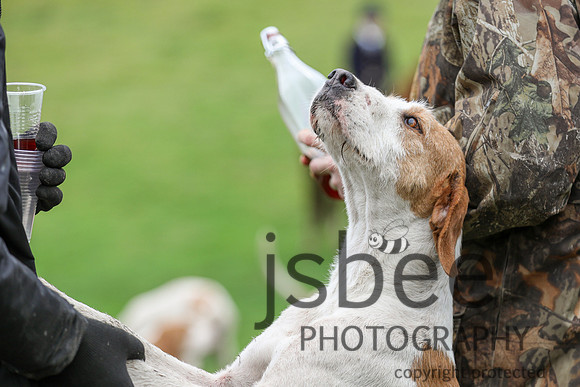JOB_8651