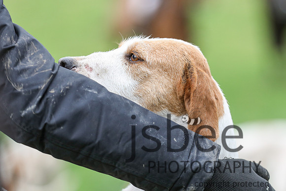 JOB_8655
