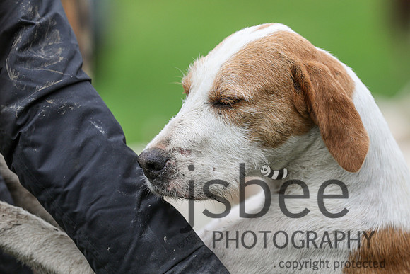JOB_8656