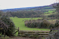 DSC_7614-7