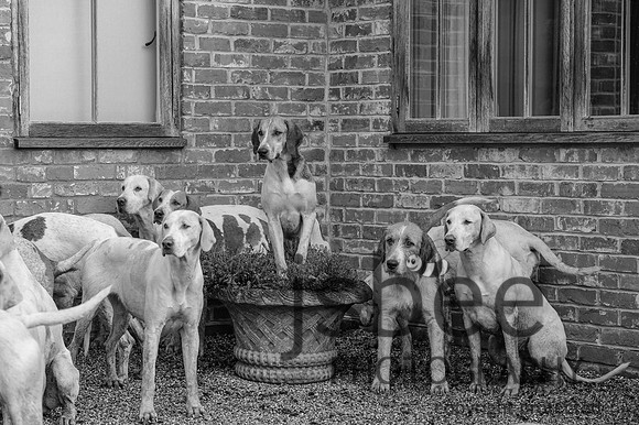 DSC_8296-27