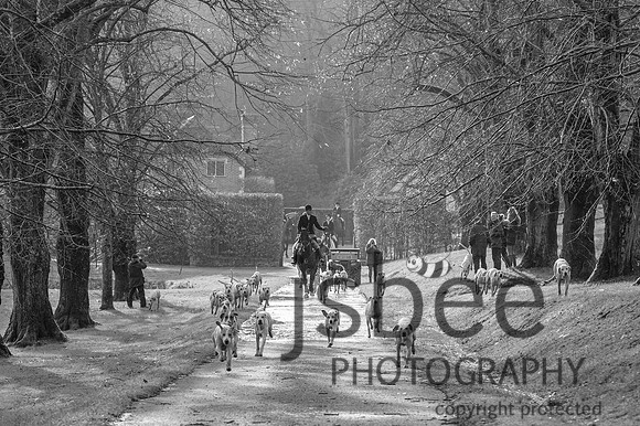 DSC_8321-44