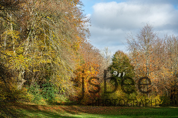 DSB_3326-362