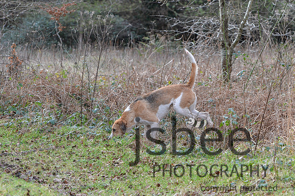 DSB_0031-19