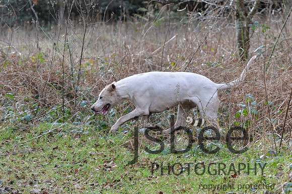 DSB_0026-17