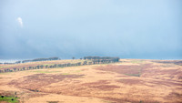 DSB_3561-8