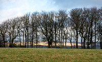 DSB_3587-12