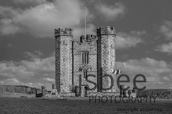 DSC_9646-2