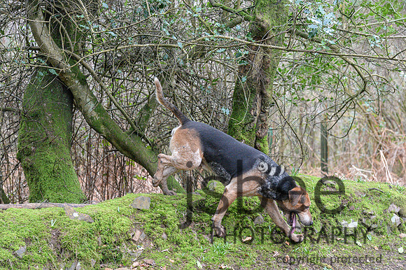 DSC_0462-5