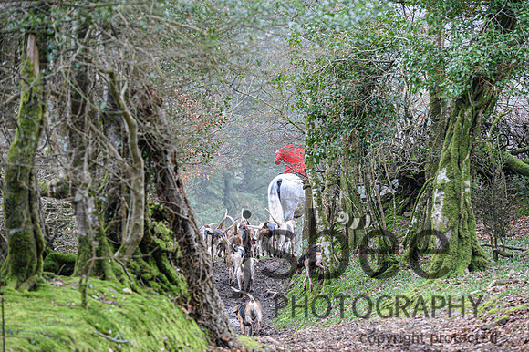 DSC_0463-6
