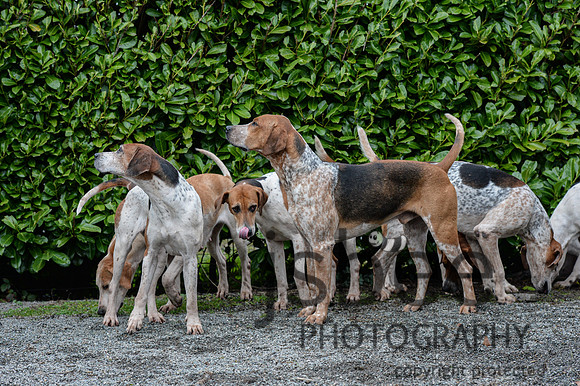 DSC_0563-5