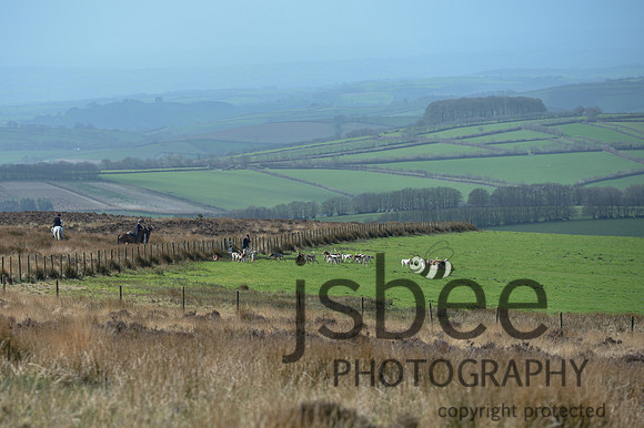 DSC_0718-52