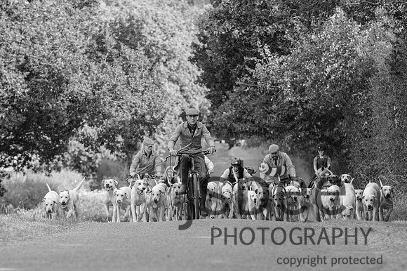 DSC_5293-40
