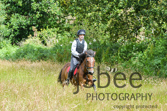 DSB_0295-47
