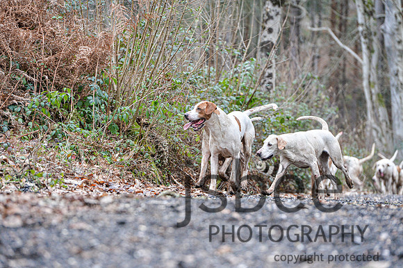 DSB_6430-116