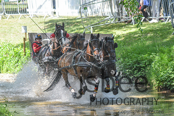 DSC_6589-23