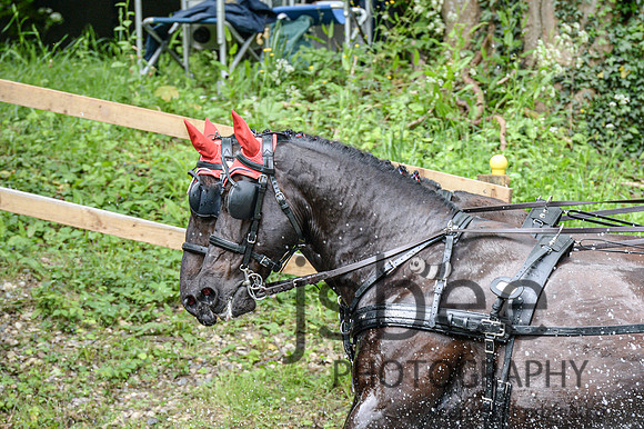 DSC_1881-8