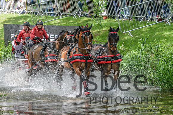 DSC_1998-80
