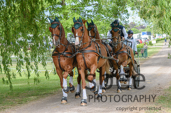 DSC_2014-92